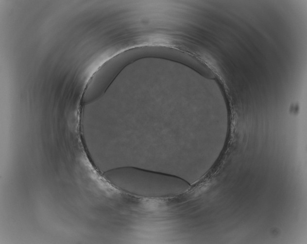 X0000111580944200908271032