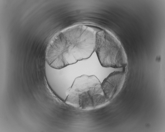 X0000111580945200908271032