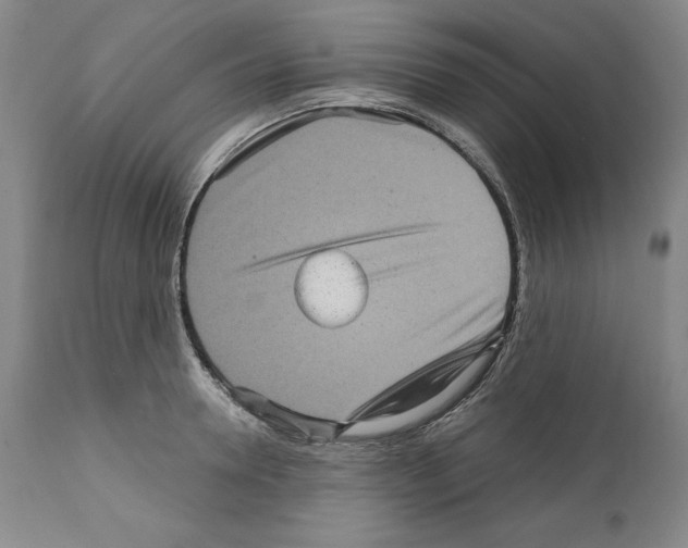 X0000111580946200908271032