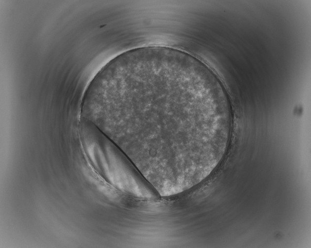 X0000111580948200908271032