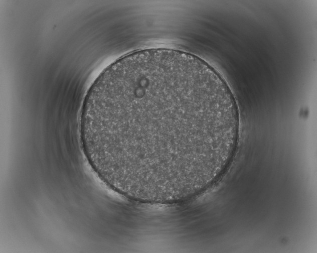 X0000111580949200908271032