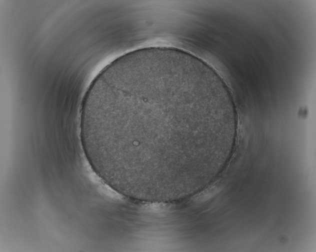 X0000111580950200908271032