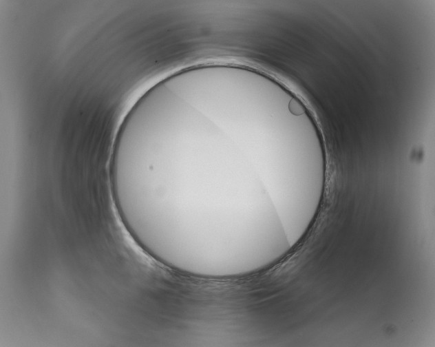 X0000111580951200908271032