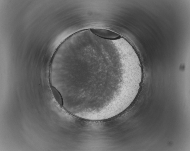 X0000111580952200908271032