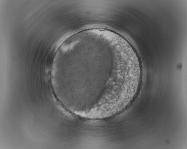 X0000111580953200908271032