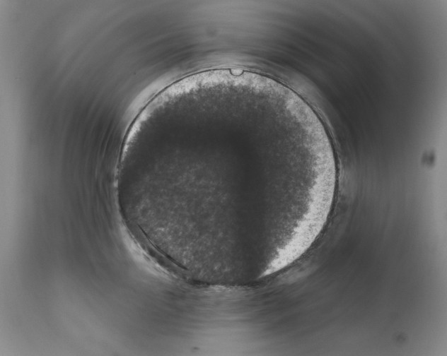 X0000111580954200908271032