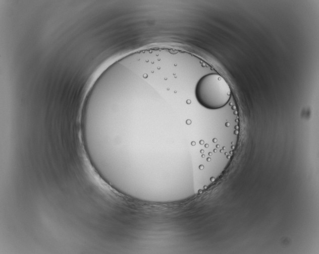 X0000111580955200908271032