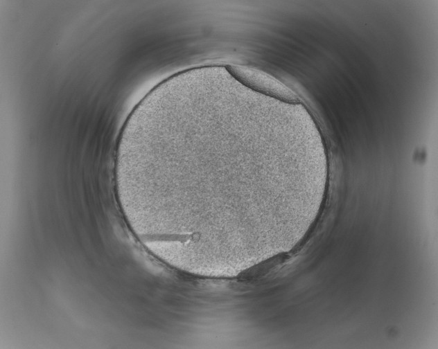 X0000111580956200908271032