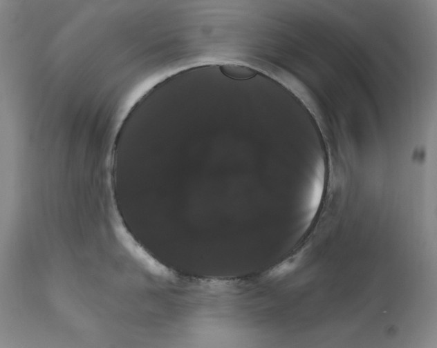 X0000111580958200908271032