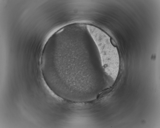 X0000111580959200908271032