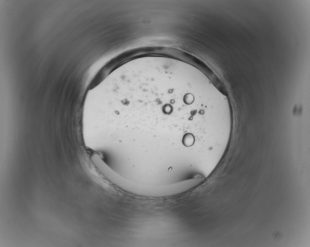 X0000111580960200908271032