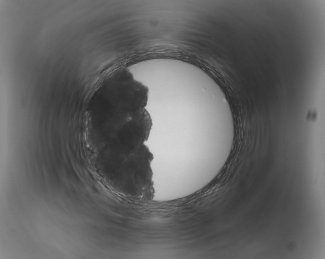 X0000111580964200908271031