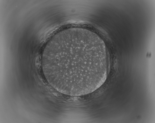 X0000111580966200908271031