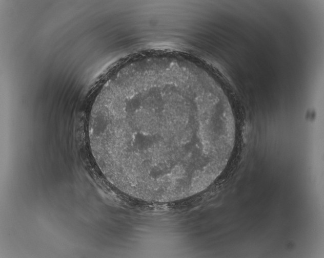 X0000111580968200908271031