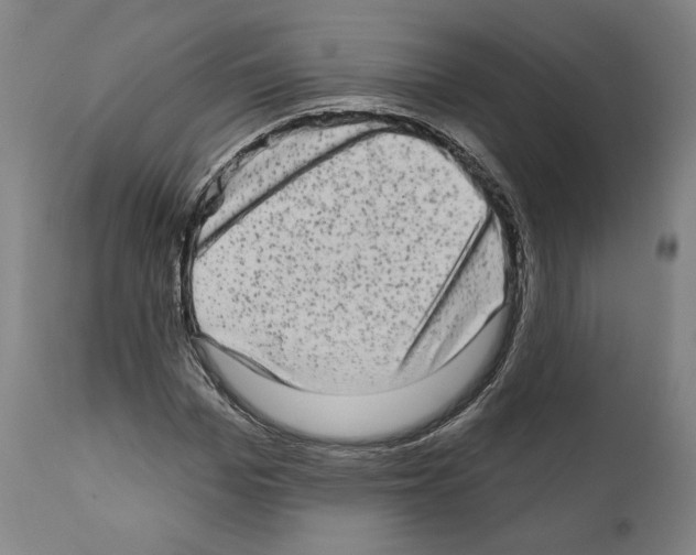 X0000111580969200908271031