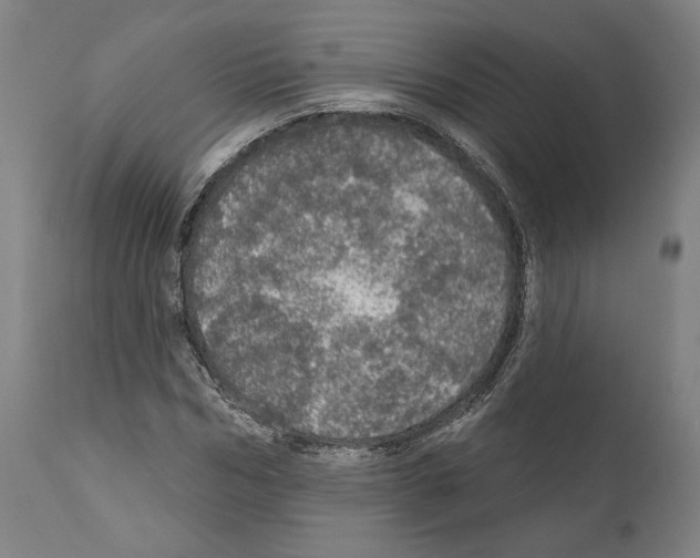 X0000111580970200908271031