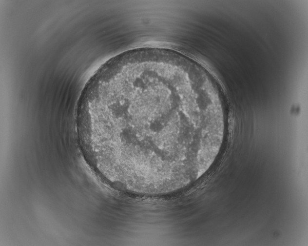 X0000111580972200908271031