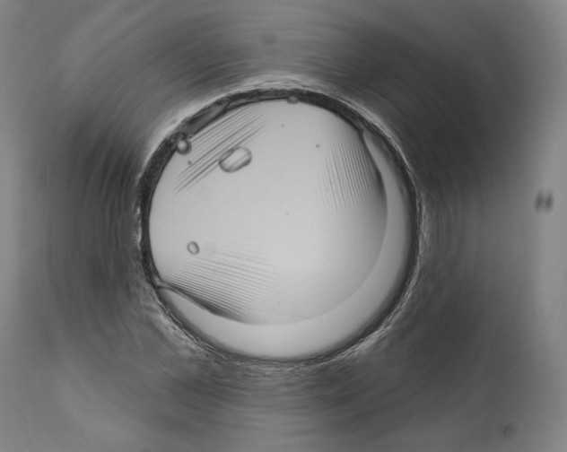 X0000111580973200908271031