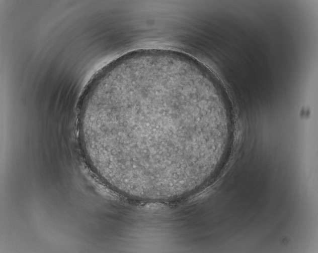 X0000111580974200908271031