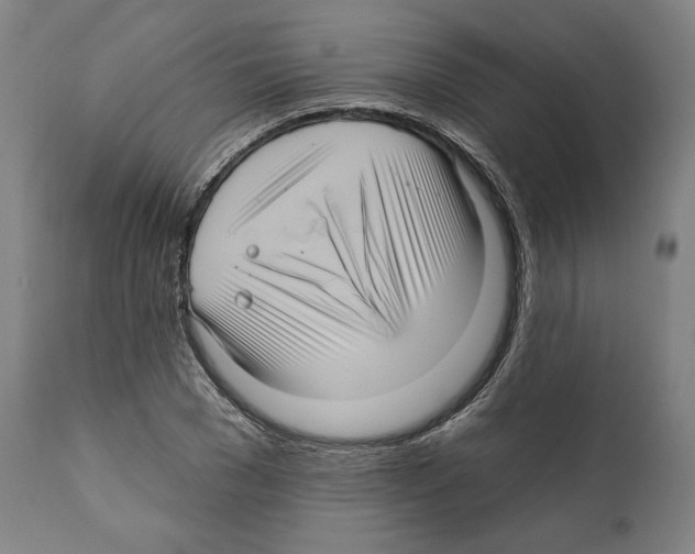 X0000111580977200908271031