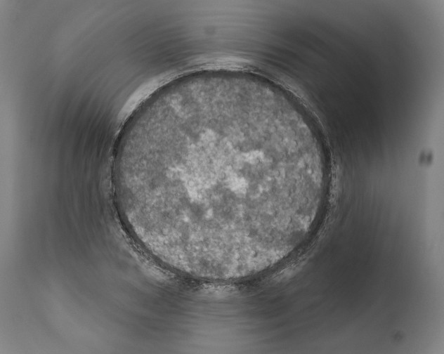 X0000111580978200908271031