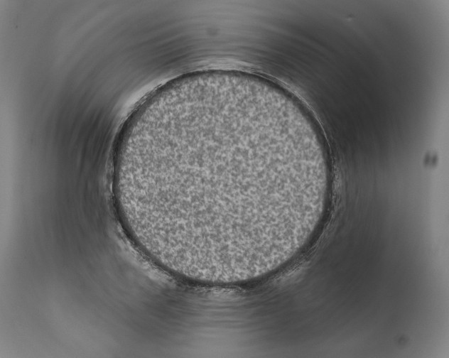 X0000111580979200908271031