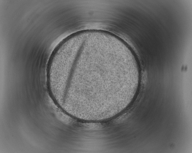 X0000111580980200908271031