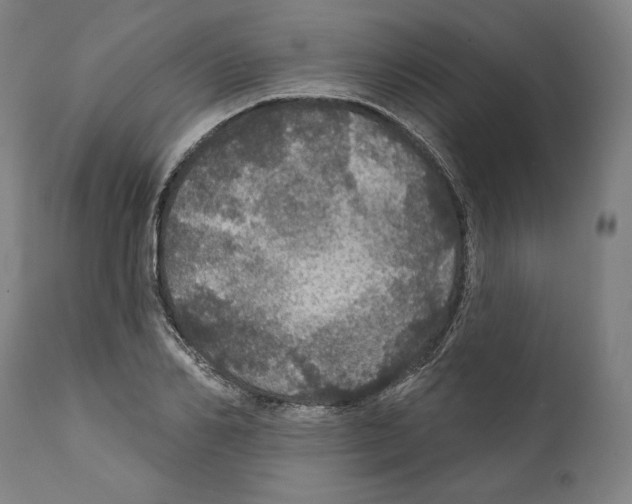 X0000111580982200908271031