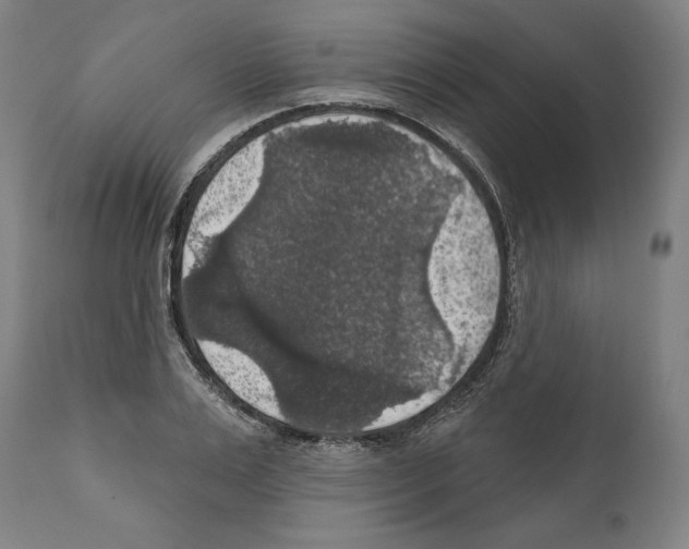 X0000111580983200908271031