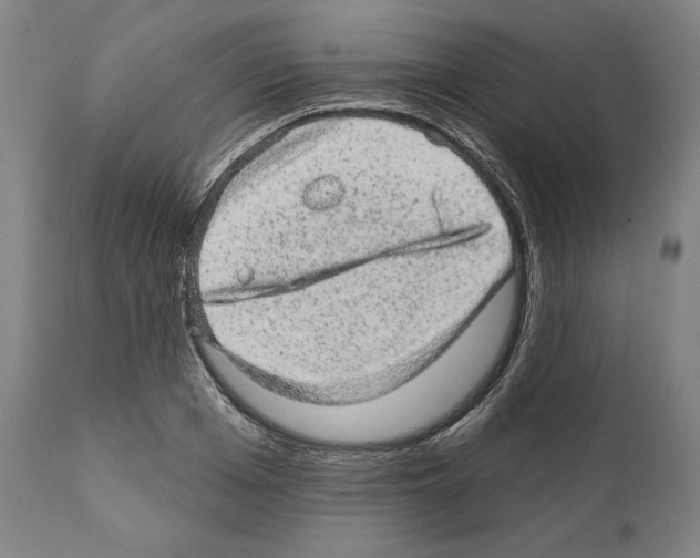 X0000111580985200908271031