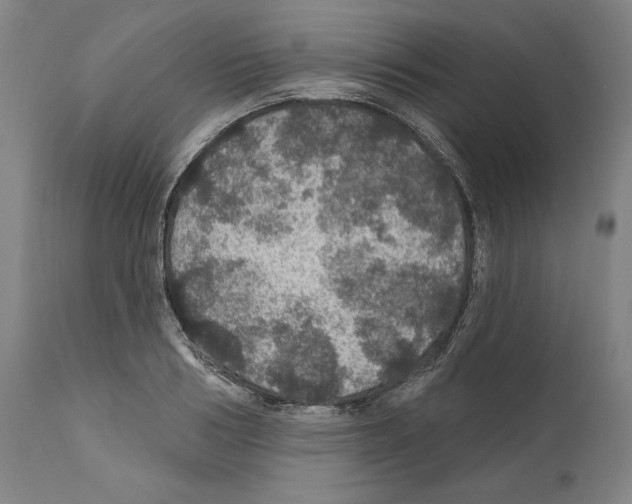 X0000111580986200908271031