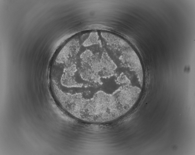 X0000111580987200908271031