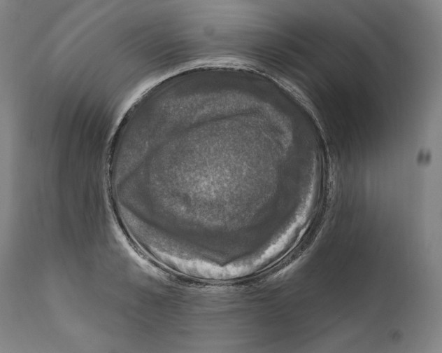 X0000111580989200908271031