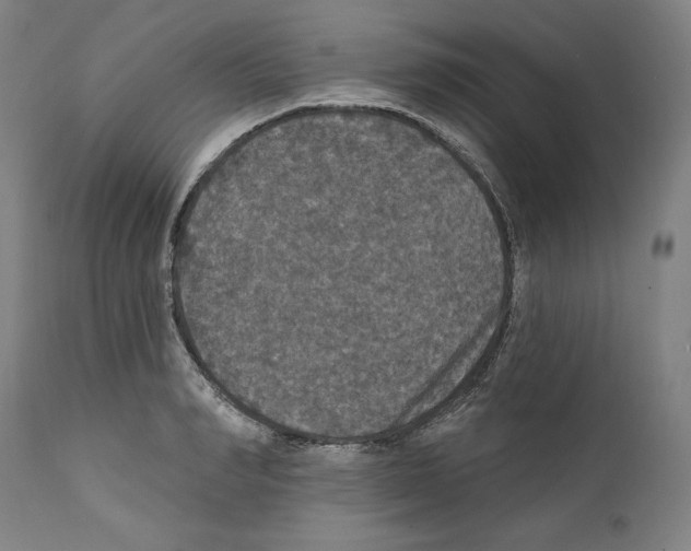 X0000111580990200908271031