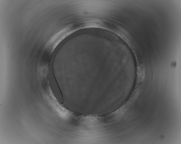 X0000111580993200908271031