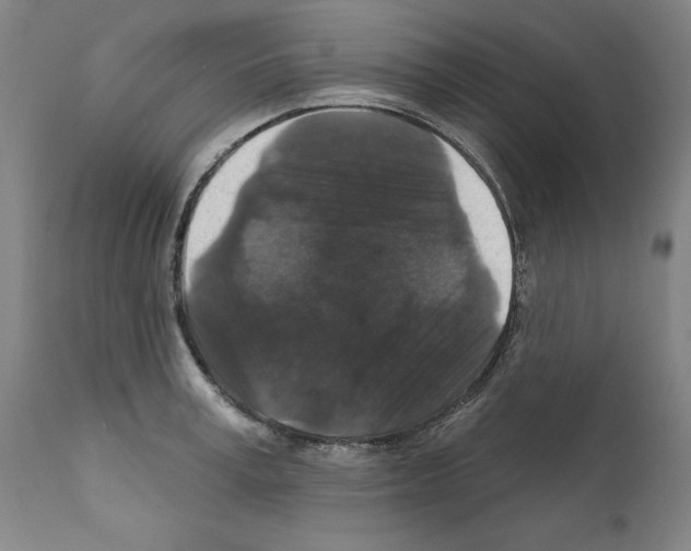 X0000111580995200908271031