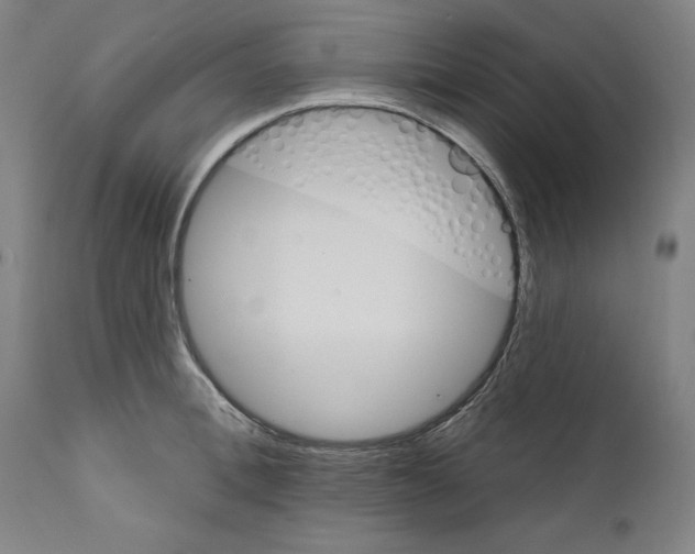 X0000111580996200908271031