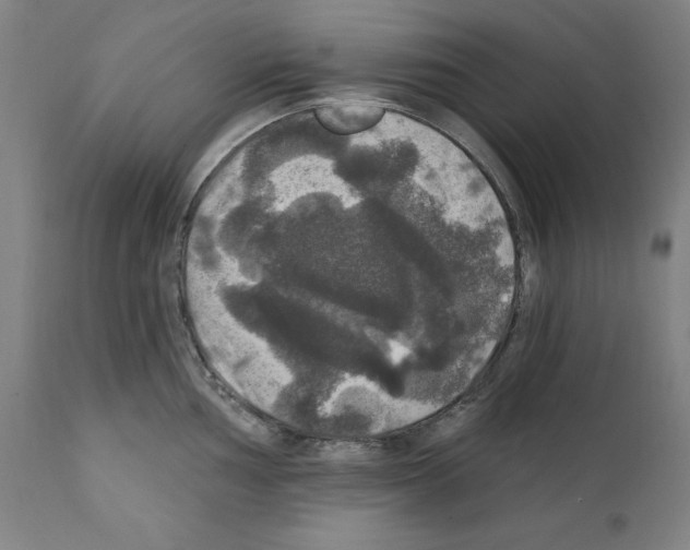 X0000111581002200908271031