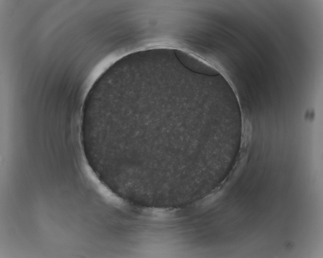 X0000111581005200908271031