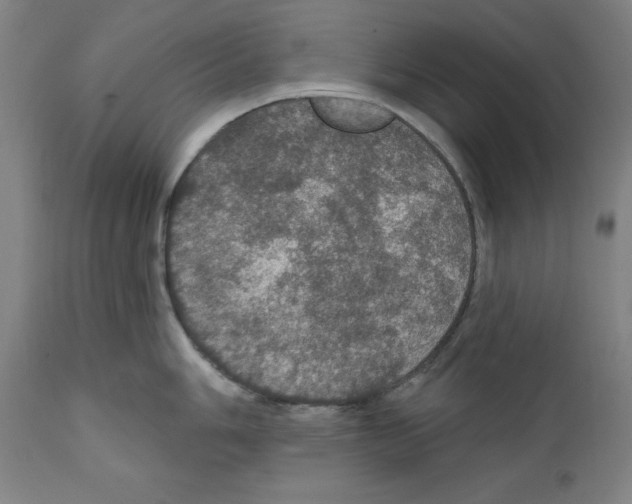 X0000111581006200908271031