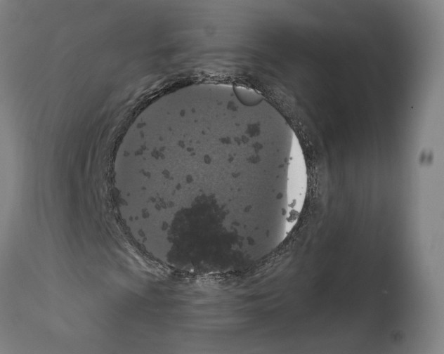 X0000111581009200908271030