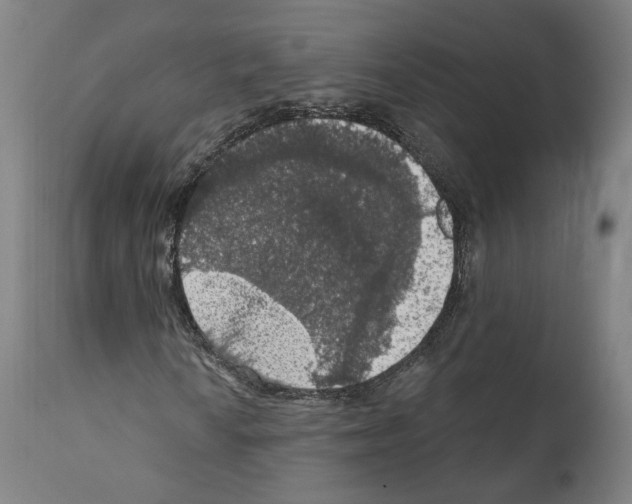 X0000111581010200908271030