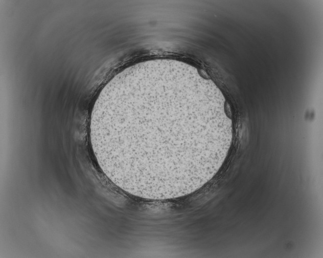 X0000111581012200908271030