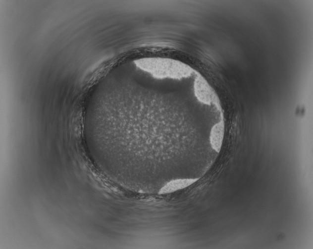 X0000111581014200908271030