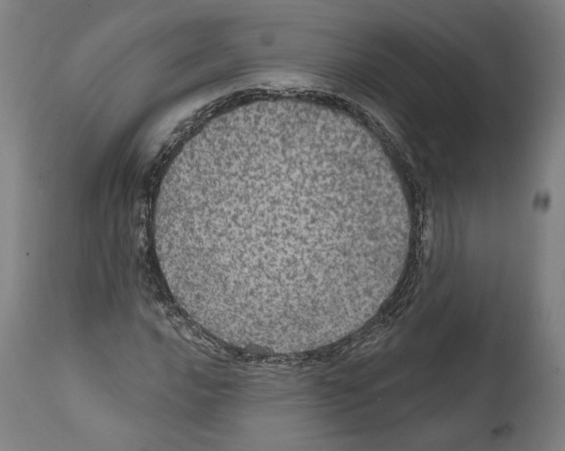 X0000111581016200908271030