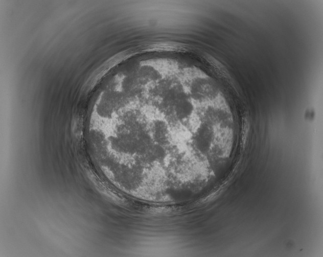 X0000111581017200908271030