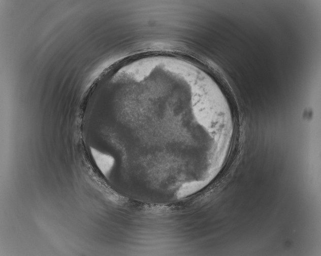 X0000111581019200908271030