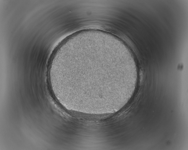 X0000111581020200908271030