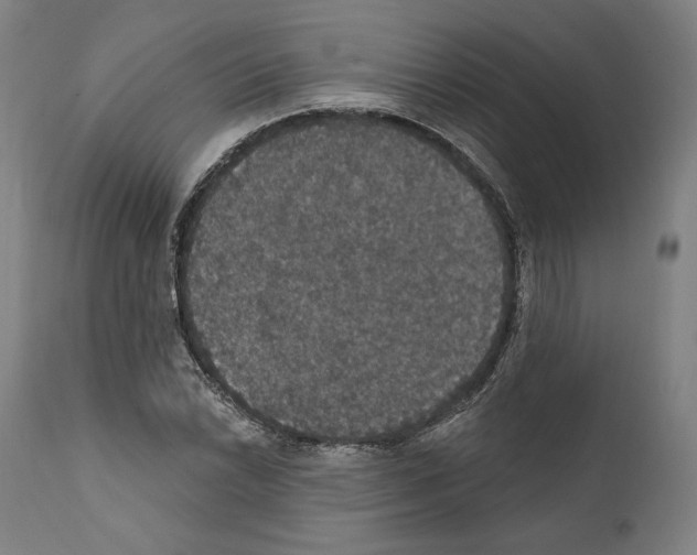 X0000111581022200908271030