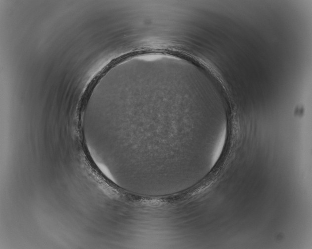 X0000111581023200908271030